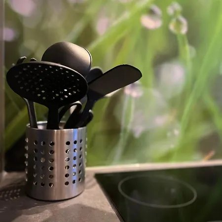 Feriehus Ganzes Haus Mit Einer Terrasse, Garten Und Klimaanlage Koblenz (Rhineland-Palatinate)