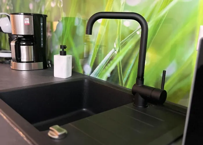 Ganzes Haus Mit Einer Terrasse, Garten Und Klimaanlage * Koblenz (Rhineland-Palatinate)